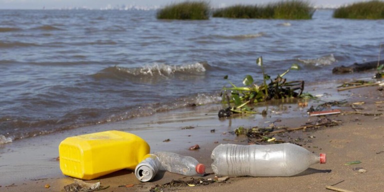 plastisfera