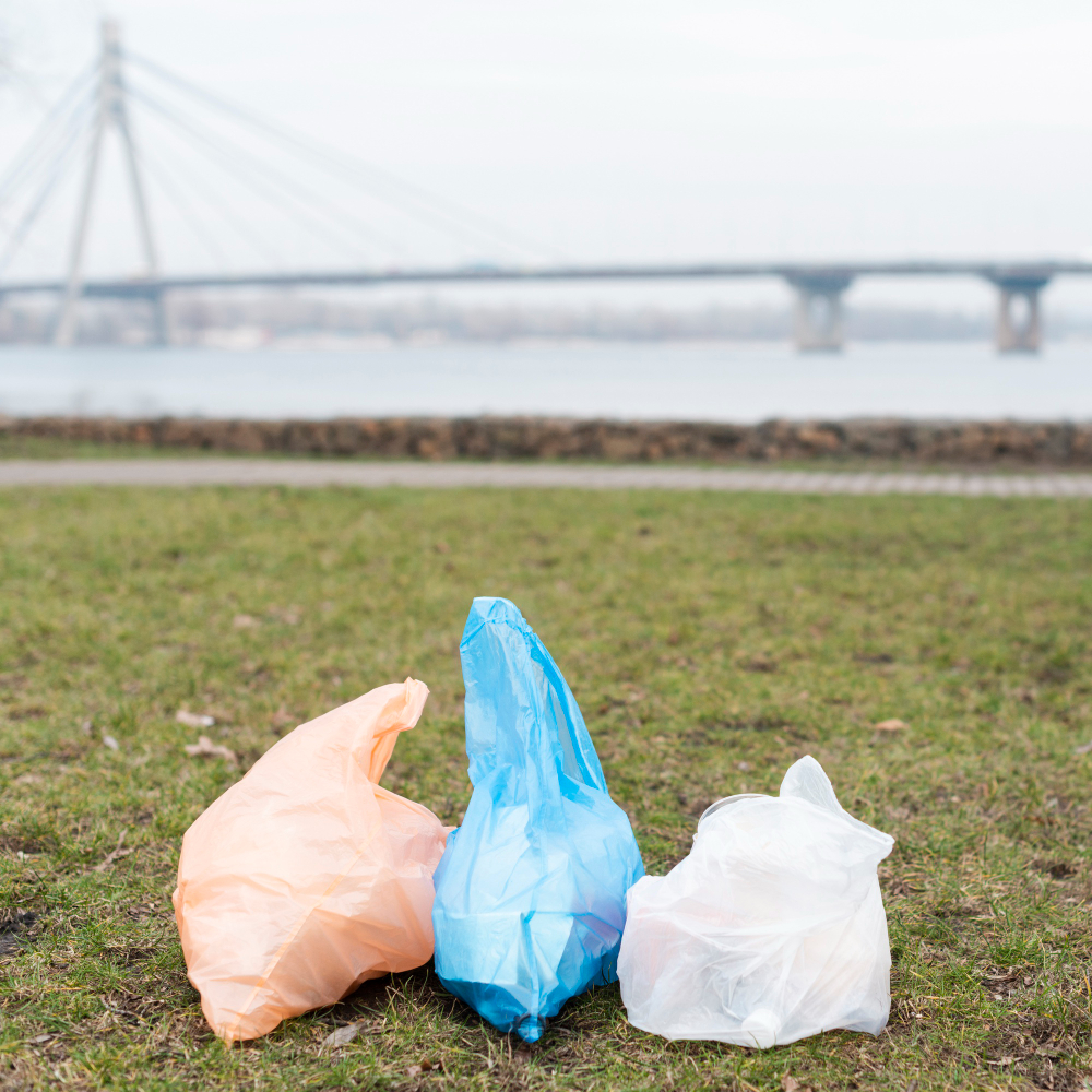 sacchetti di plastica